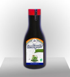 SALSA CONDIGUSTO FAN SAPORI - RUSTICA VERDE KG1